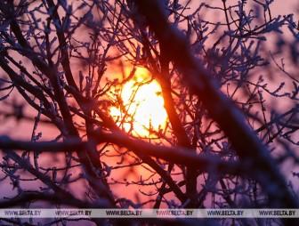 Небольшой снег, на отдельных участках дорог - гололедица. Синоптики о погоде в Беларуси 23 января