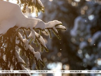 Гололедица, ночью до -21°С. Синоптики о погоде в Беларуси 24 января