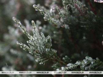 Снег с дождем, на дорогах - гололедица. Какой будет погода в Беларуси 28 января