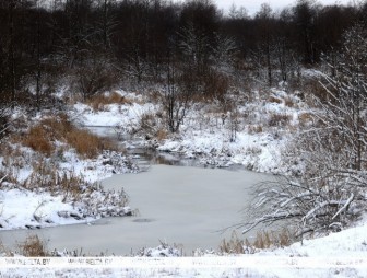 Гололед, ночью до -28°С. Какой будет погода в Беларуси 31 января