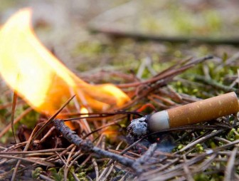 Брошенный окурок - причина пожара