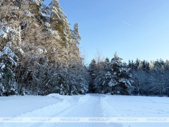 Кратковременный снег и порывистый ветер. Какой будет погода в Беларуси 4 февраля