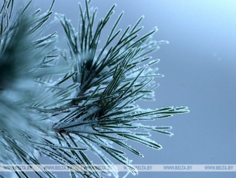 Зимний воздух кажется грязнее? Почему так происходит, рассказали в Белгидромете