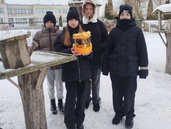 Мостовщина – территория заботы: как юные мостовчане помогают птицам и животным в суровый зимний период