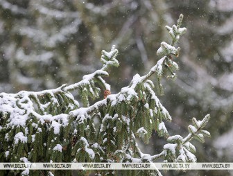 Гололед, снег, по югу - с дождем. Синоптики рассказали о погоде на 7 февраля