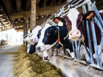 Особое внимание фермам