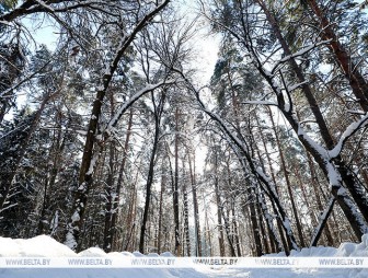 Ждать ли снега 18 февраля? Ответили синоптики