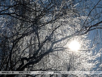 Какой регион Беларуси 19 февраля ждут 20-градусные морозы, рассказали синоптики