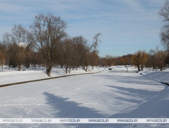 Снегопады позади? Какая погода ждет белорусов 20 февраля