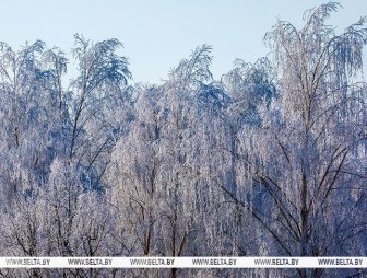 Насколько сильными будут морозы в ночь на 21 февраля, рассказали в Белгидромете