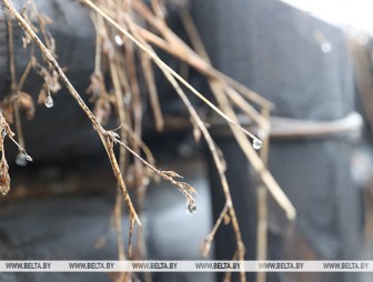 Какую погоду ждать белорусам 27 февраля? Рассказали в Белгидромете