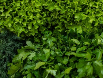 Почему стоит добавлять больше зелени в рацион, рассказала нутрициолог