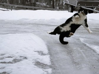 Предупреждение о неблагоприятном метеорологическом явлении!