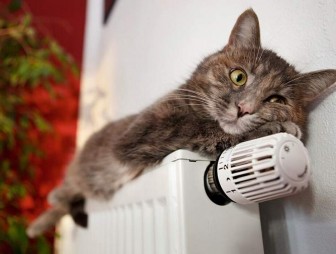 Когда в Беларуси отключат отопление?