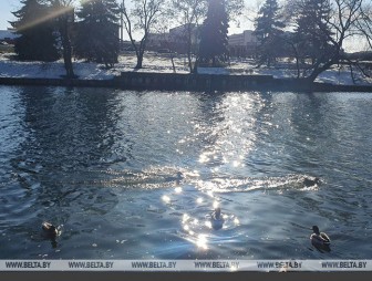 Снег или дождь: где в Беларуси пятница начнется с осадков, ответили синоптики