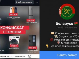 ГТК предупреждает о мошенниках, якобы продающих таможенный конфискат