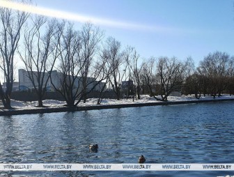 Где в Беларуси 7 марта воздух прогреется до +14°С, ответили синоптики