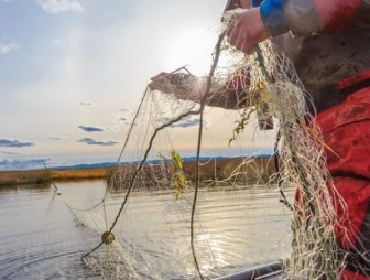 Добровольно – значит, без наказания