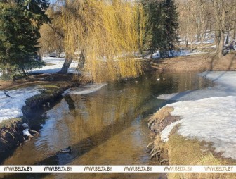 Будет гололедица? О погоде на 11 марта рассказали в Белгидромете