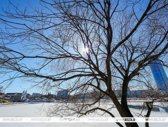 Будет ли в Беларуси 13 марта по-весеннему тепло и без дождей, рассказали синоптики