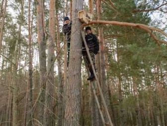 Акцию по встрече пернатых друзей и оказанию им помощи провели работники заказника «Липичанская пуща»