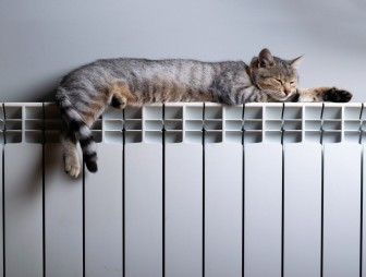 Об установлении нормативов фактического потребления тепловой энергии