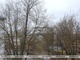 Понадобится ли белорусам зонт? Синоптики рассказали о погоде 21 марта