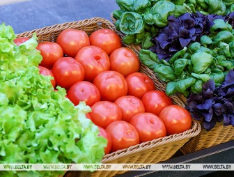 Долю продаж товаров отечественного производства в Беларуси планируют увеличить до 58% в 2026 году