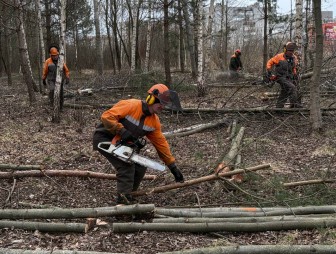 Наводим порядок вместе: на протяжении нескольких дней работники ОАО «Мостовдрев» убирали придорожную парковую зону у магазина «Евроопт»
