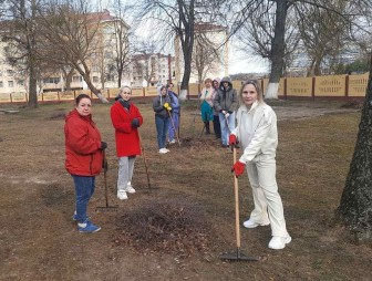 Месячник по наведению порядка на земле продолжается