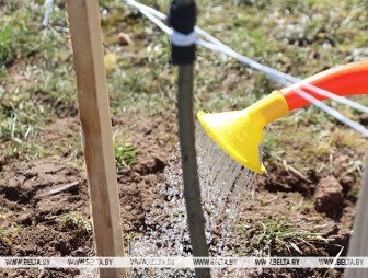 Республиканский субботник пройдет в Беларуси 18 апреля