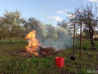 Почему до людей не доходит, что жечь траву нельзя, а наводить порядок с огнём надо осторожно?