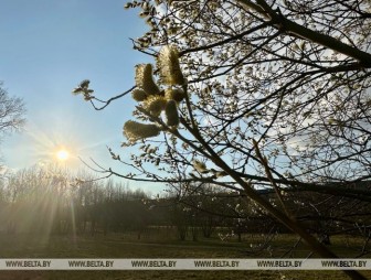 Все еще тепло? В Белгидромете рассказали о погоде в Беларуси 3 апреля