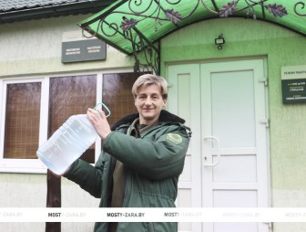 Хотите купить берёзовый сок? Посетите Мостовское лесничество