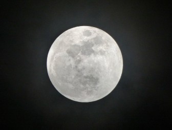 Лунный календарь для садоводов и огородников с 3 по 6 апреля 2026 года