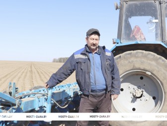 Широким фронтом ведут полевые работы в КСУП «Имени Адама Мицкевича»