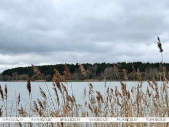 Зонт или солнечные очки? Синоптики дали прогноз погоды в Беларуси на 15 апреля