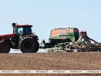В Беларуси засеяна треть площадей яровых культур