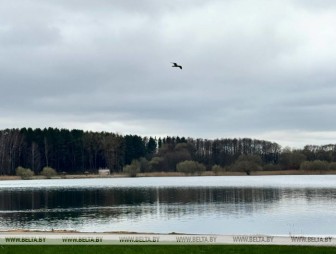 Ждать ли гроз в Беларуси 16 апреля? Прогноз Белгидромета