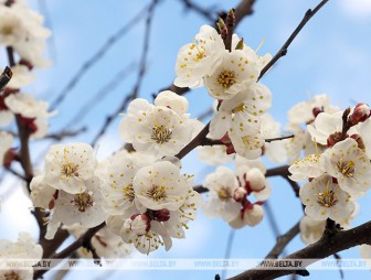 Кому в субботу не обойтись без зонта? Синоптики рассказали о погоде 18 апреля