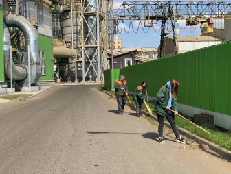 За дело взялся «Мостовдрев». Деревообработчики  трудятся на республиканском субботнике
