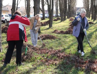 Чистым и благоустроеным стал сквер по улице Энергетиков в Мостах