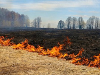 Весенние пожары: опасности и меры предосторожности