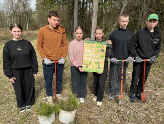 Лесной дозор в действии