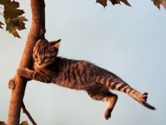 Предупреждение о неблагоприятном метеорологическом явлении!