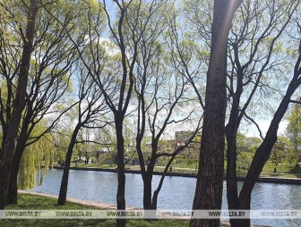 Заморозков еще не будет. Синоптики рассказали о погоде 26 апреля