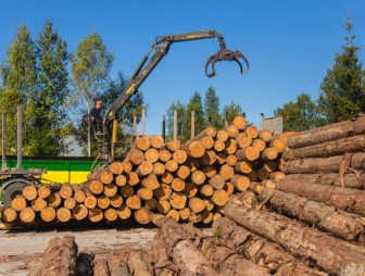 Проблемные вопросы приобретения населением деловой древесины