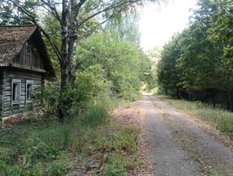 Зона отчуждения: природа и человек