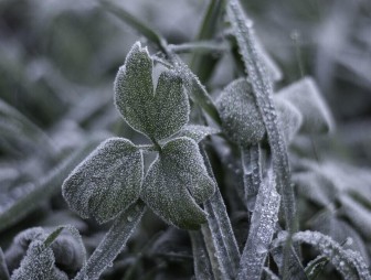 ВНИМАНИЕ!!! Штормовое предупреждение об опасном гидрометеорологическом явлении!