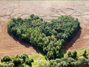 На контроле КГК – наведение порядка на земле